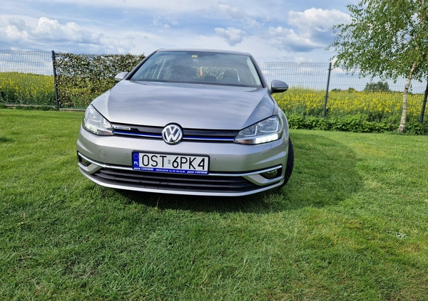 Volkswagen Golf cena 72000 przebieg: 32000, rok produkcji 2017 z Ciechanowiec małe 742